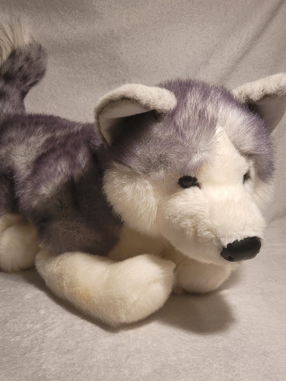 Douglas the cuddle toy 2019 Large gray husky plush